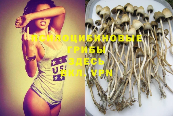 дурь Алексеевка