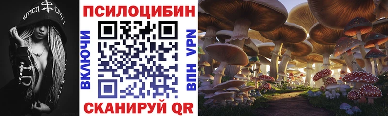 Галлюциногенные грибы MAGIC MUSHROOMS  Елизово 