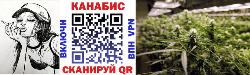Бошки Шишки планчик  Елизово 